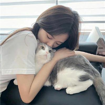 茶之味